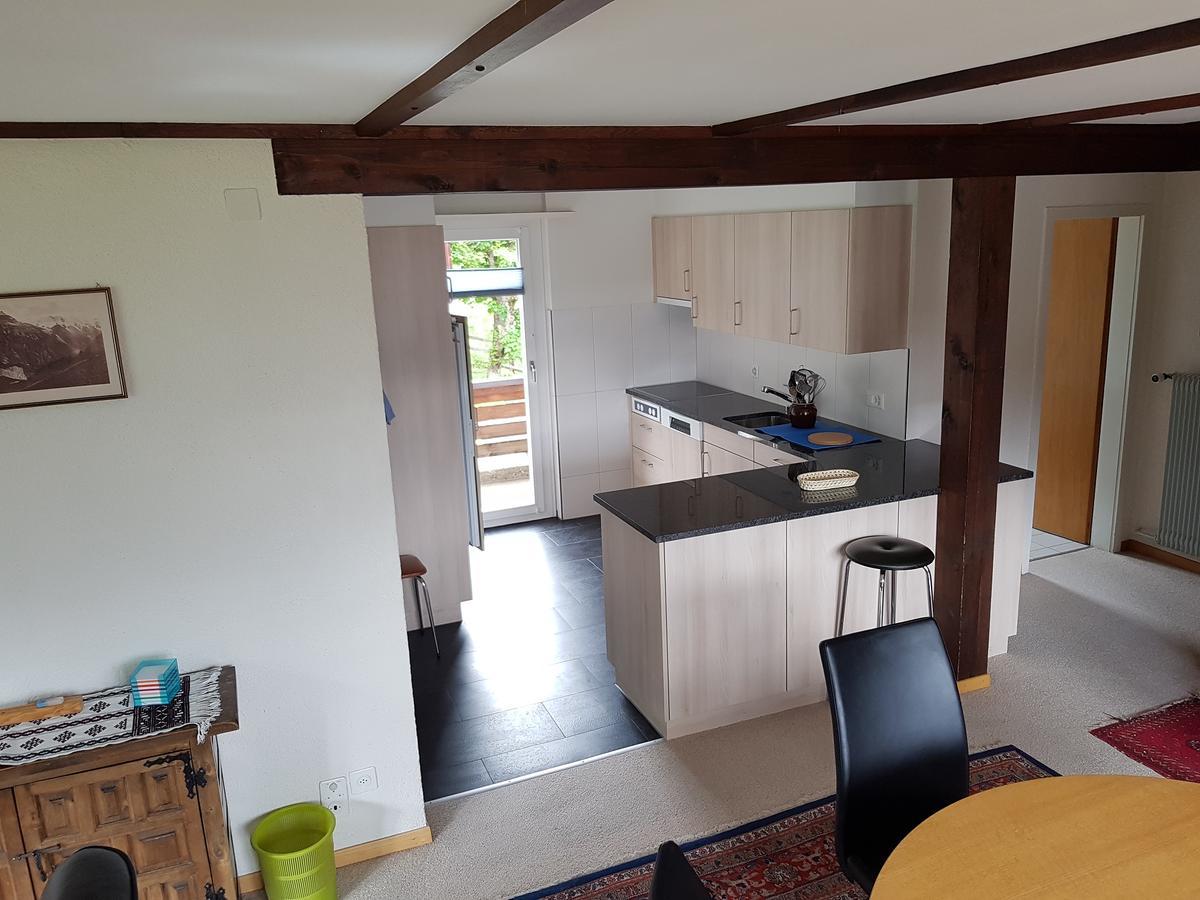 Appartamento Chalet Anemone 2 Mürren Esterno foto